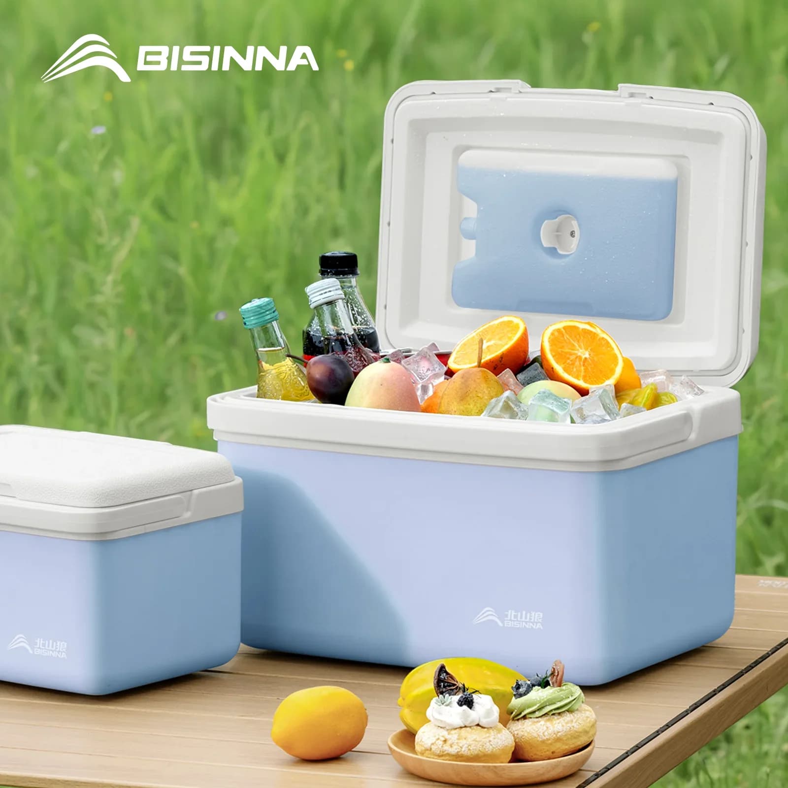 Glacière de camping portable BISINNA 6L/9L/15L pour pêche, pique-nique et extérieur