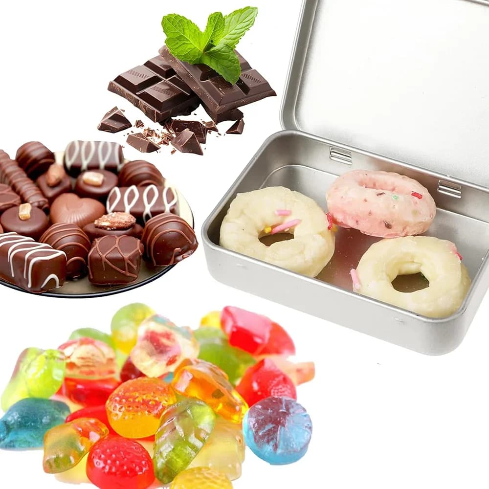 Lot de 6 mini boîtes métalliques à charnière avec couvercle - Rangement portable pour bonbons et loisirs créatifs